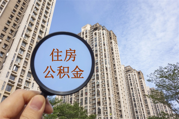 查询我的住房公积金-涿州公积金代办平台